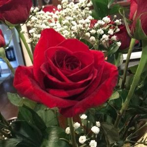 Meet your Posher, Angelia